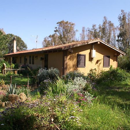 Tharros B&B San Giovanni di Sinis Exterior photo